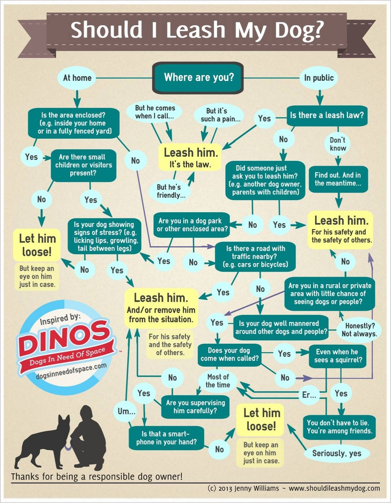 Illustration for article titled Should you leash your dog?